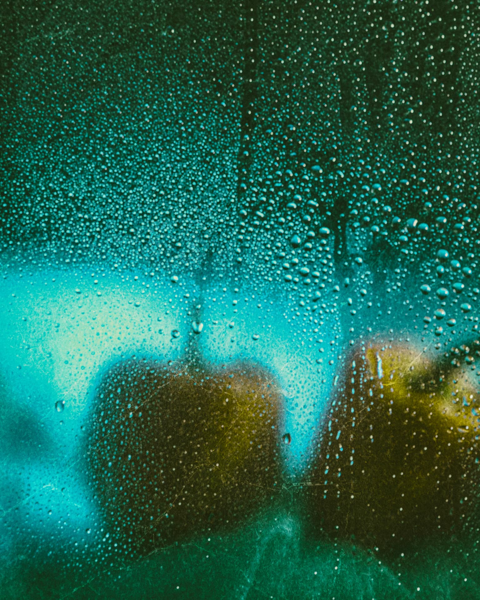 Condensation Codex