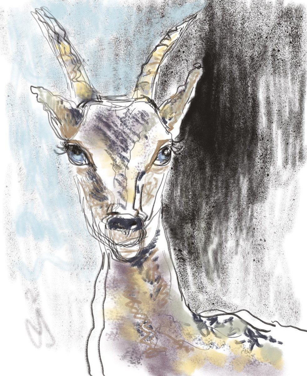 Gazelle drawn with fine, searching left-hand lines, washed in pastel blue and ochre