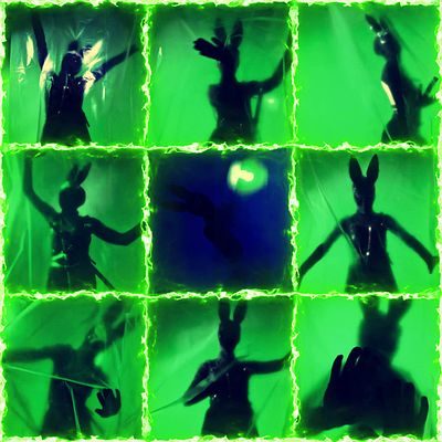 Brave Rabbit Backstage